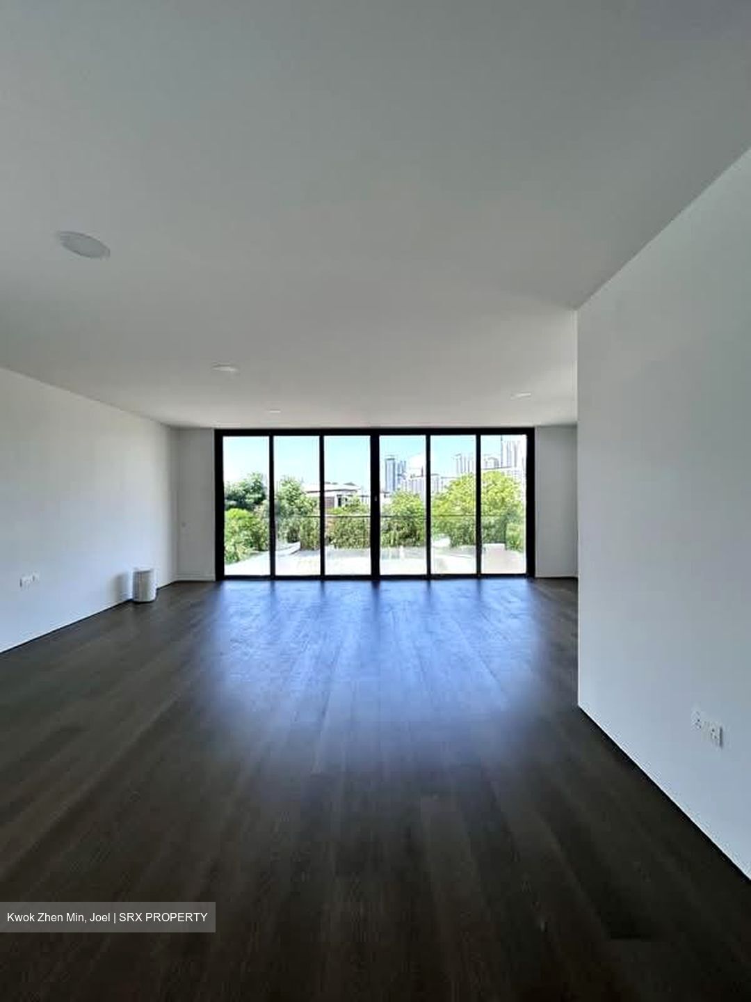 Henry Park (D10), Detached #551615711